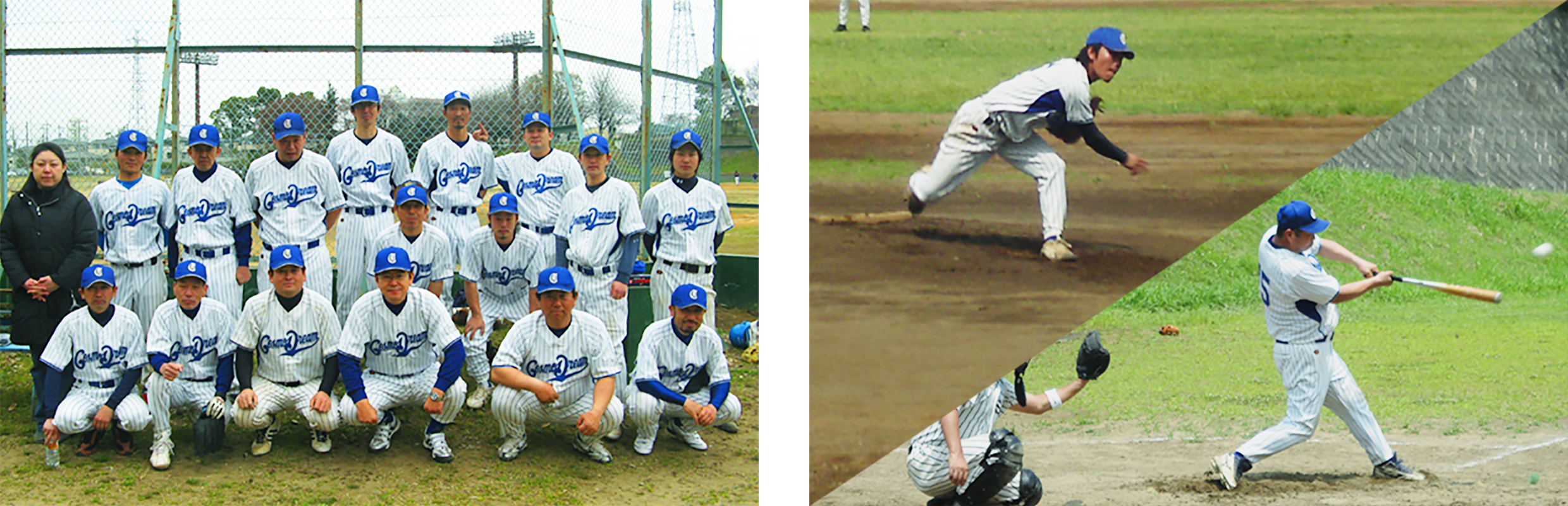 コスモドリーム